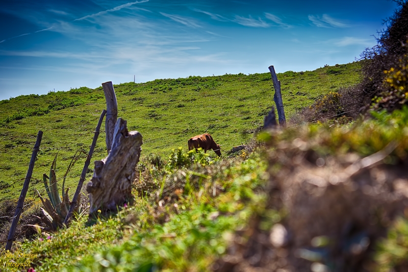 ruta_tarifa-045