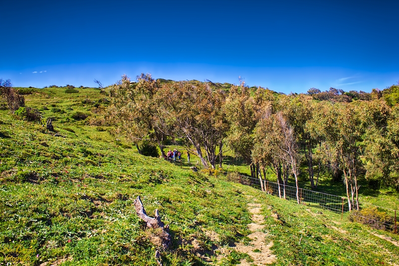 ruta_tarifa-055