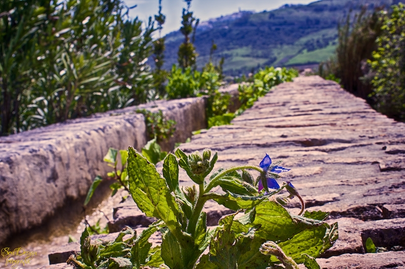 vejer-104