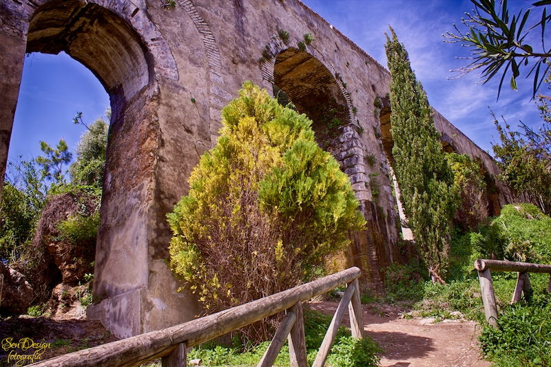 vejer-121