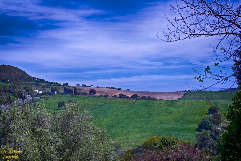 vejer-138