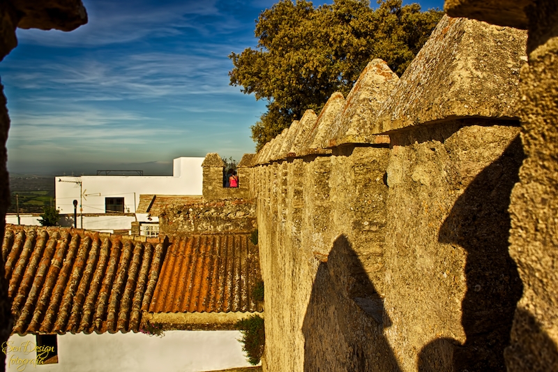 vejer-24