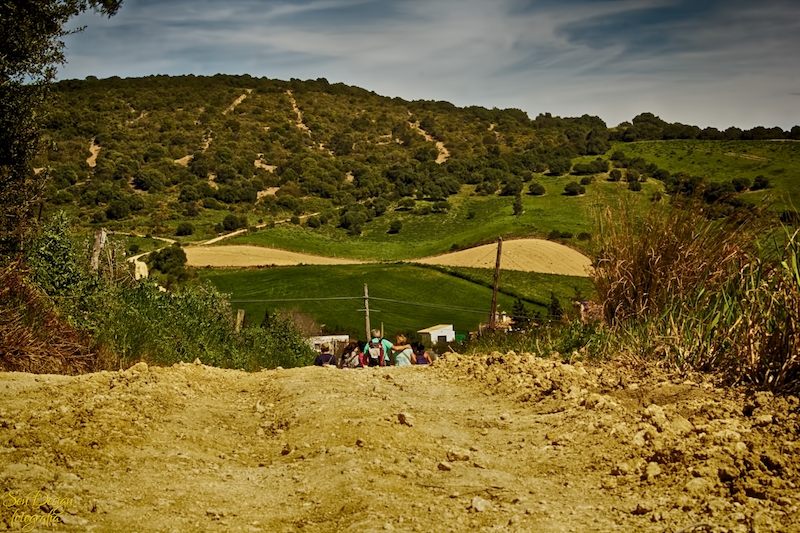 vejer-59