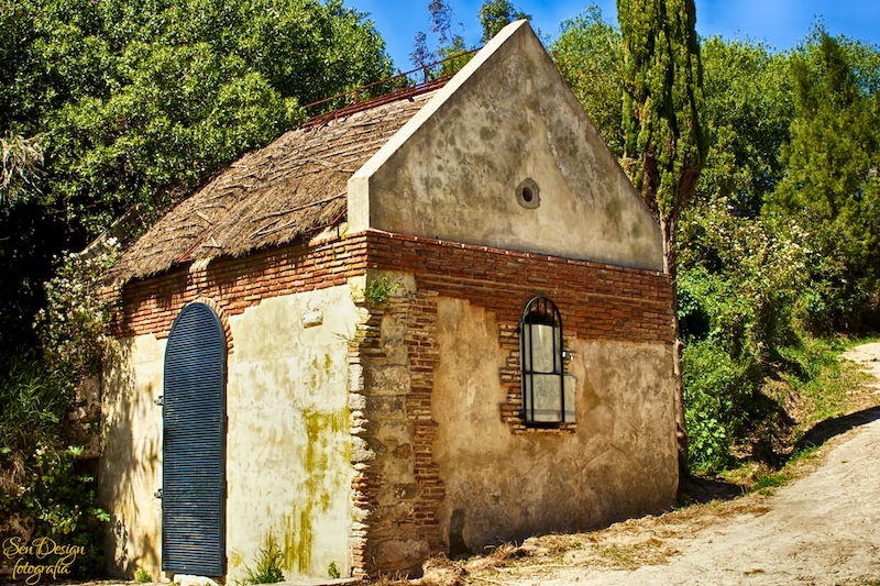 vejer-78