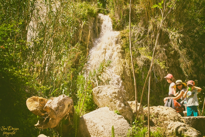 vejer-80